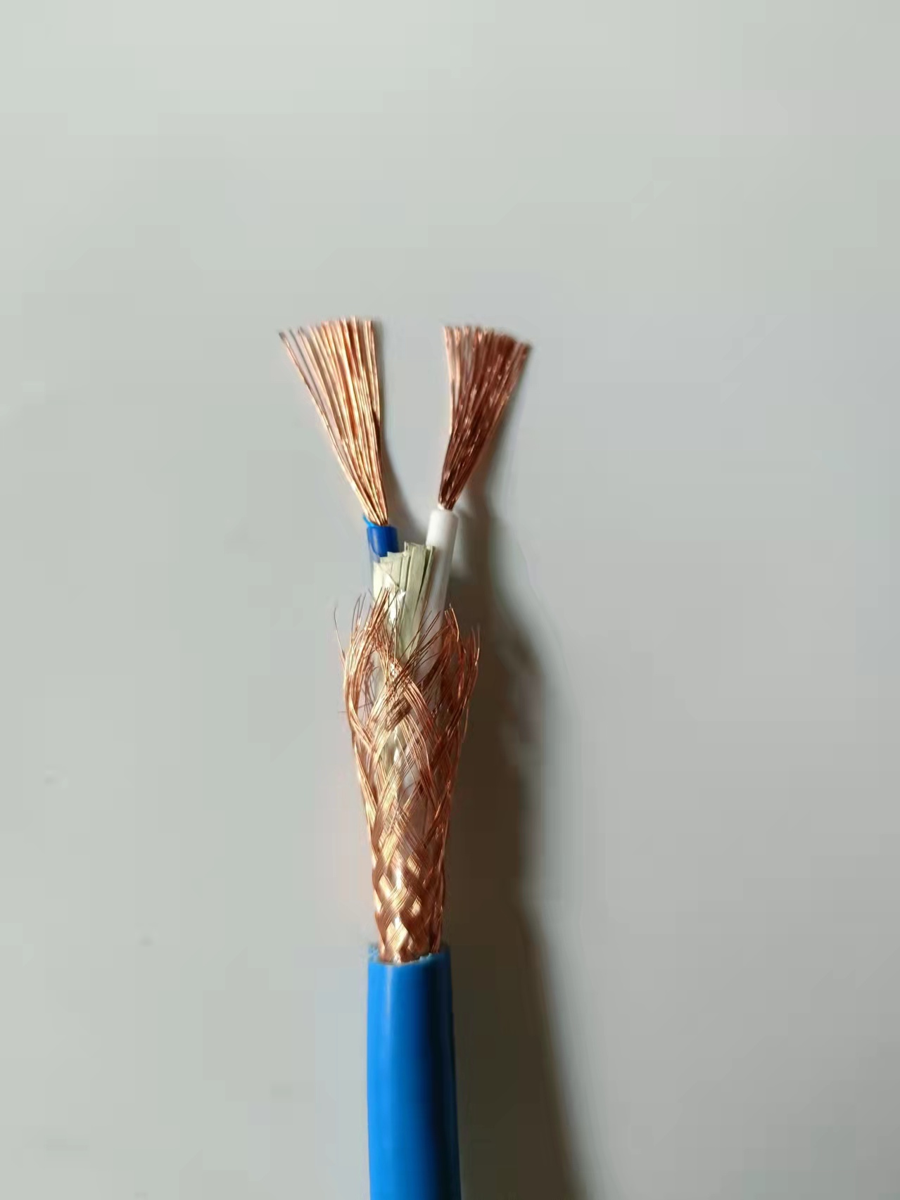 本安信号控制电缆